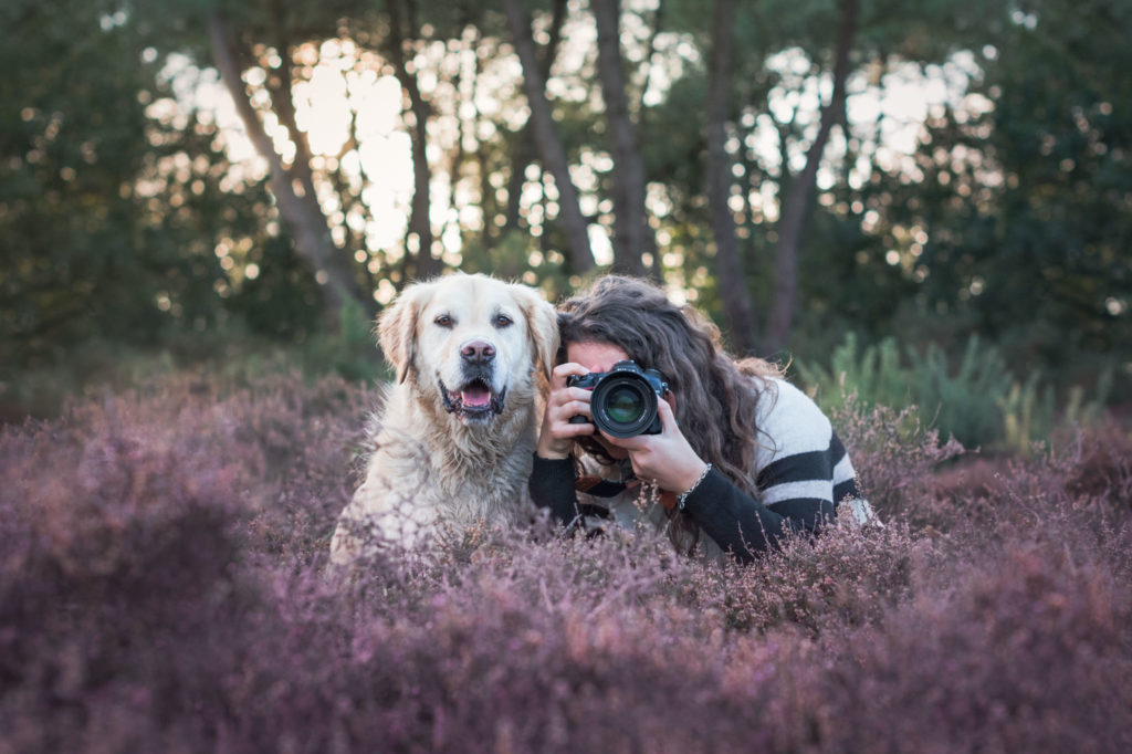 Photographe prenant une photo avec son chien à ses côtés dans la bruyère